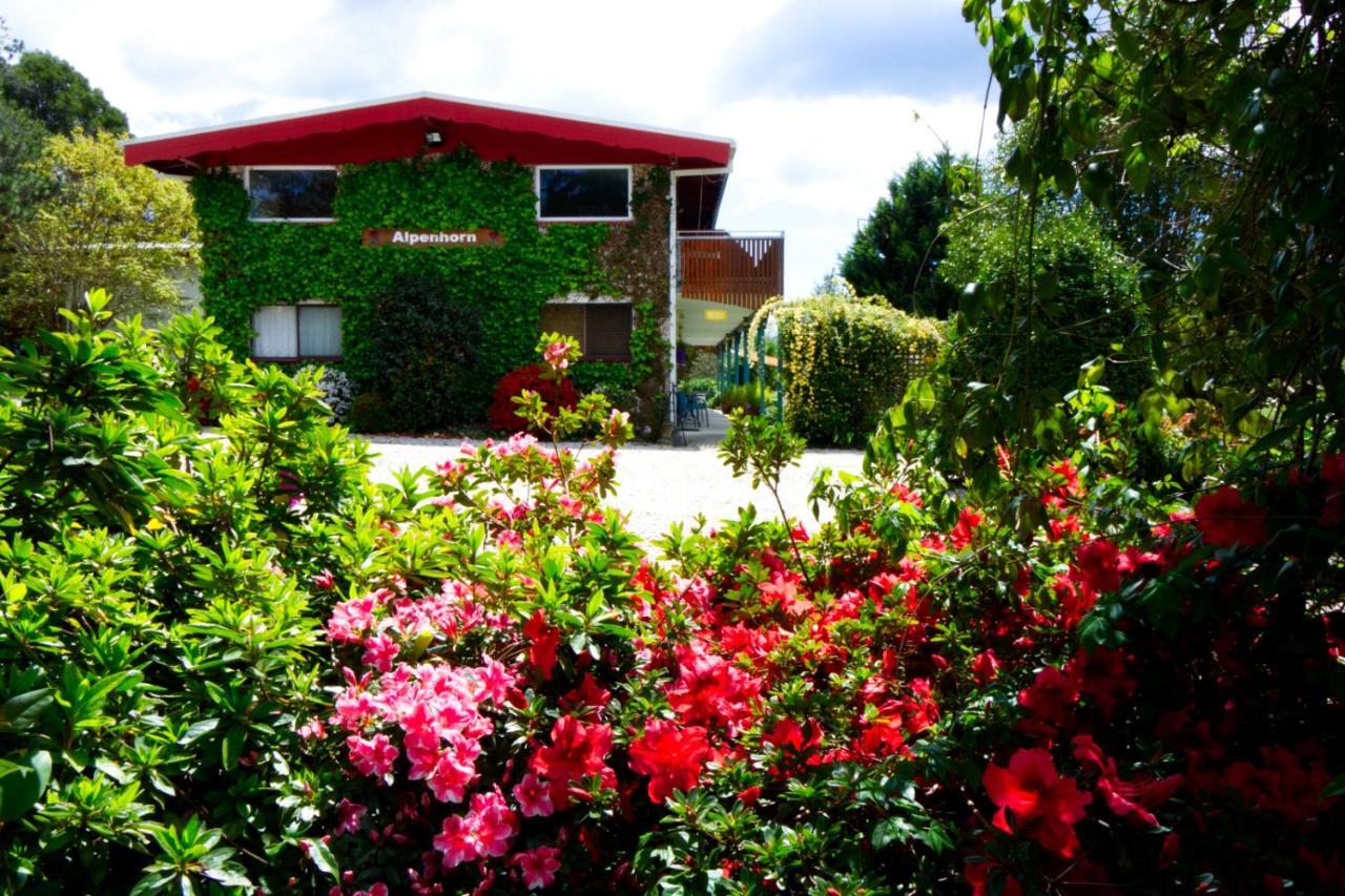 Alpenhorn Holiday Units Mount Beauty Luaran gambar