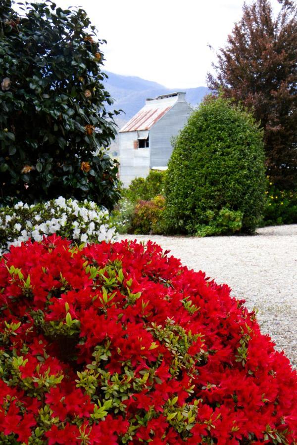Alpenhorn Holiday Units Mount Beauty Luaran gambar