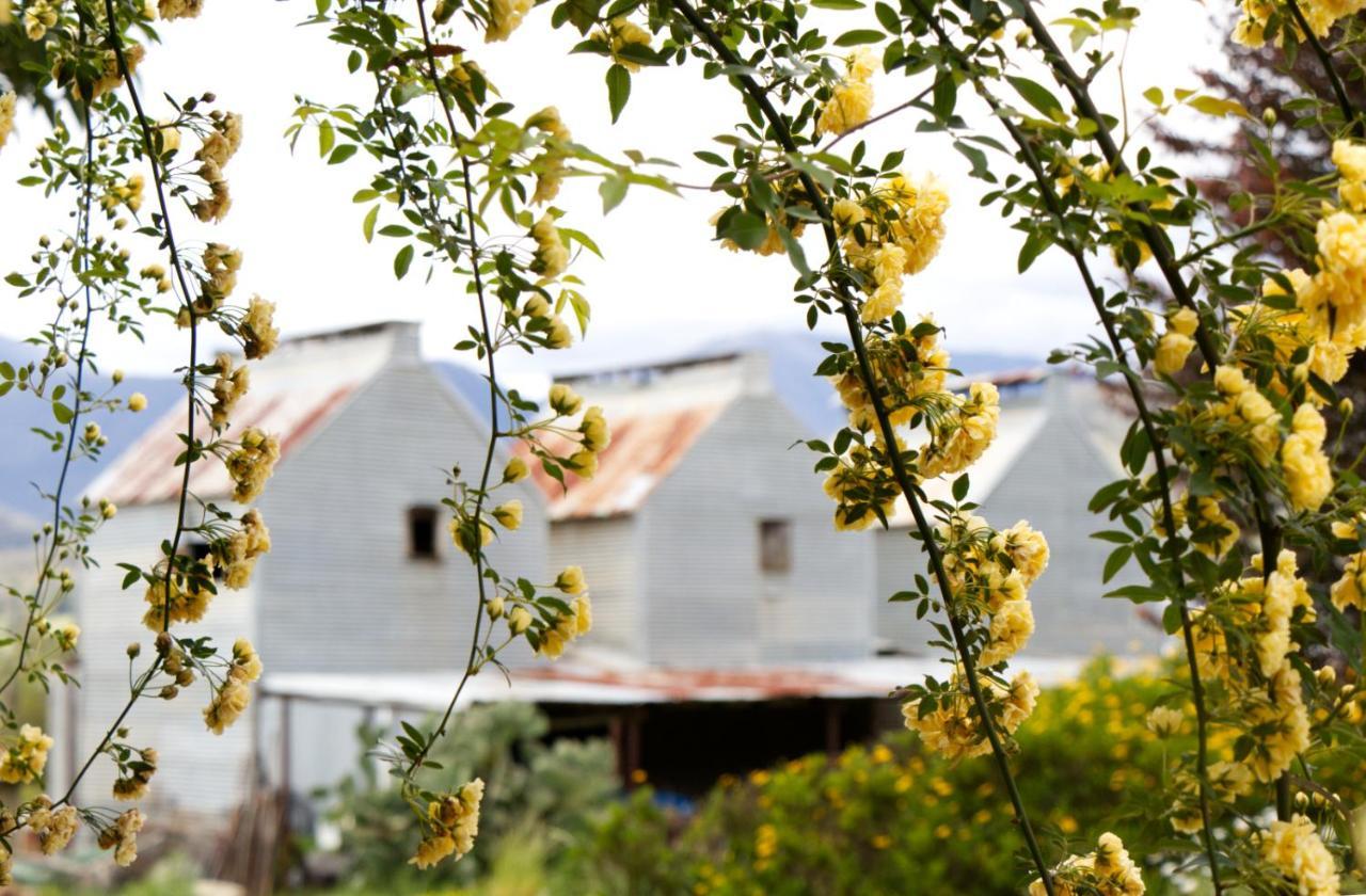 Alpenhorn Holiday Units Mount Beauty Luaran gambar