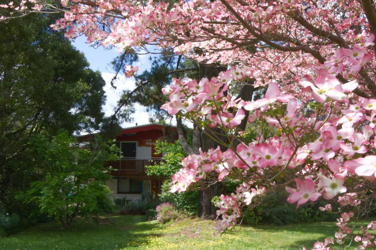 Alpenhorn Holiday Units Mount Beauty Luaran gambar